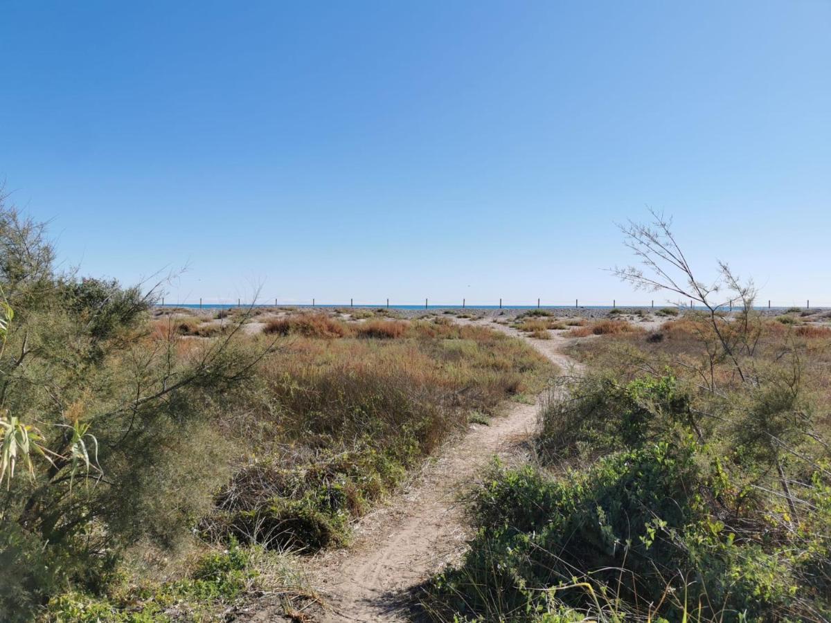 Global Properties, Apartamento En Marjal De Corinto Con Piscina サグント エクステリア 写真