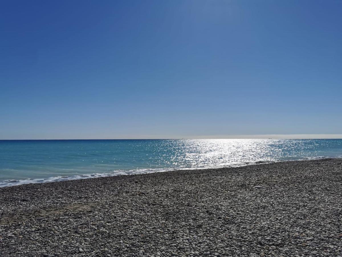 Global Properties, Apartamento En Marjal De Corinto Con Piscina サグント エクステリア 写真